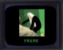 ecran_faune